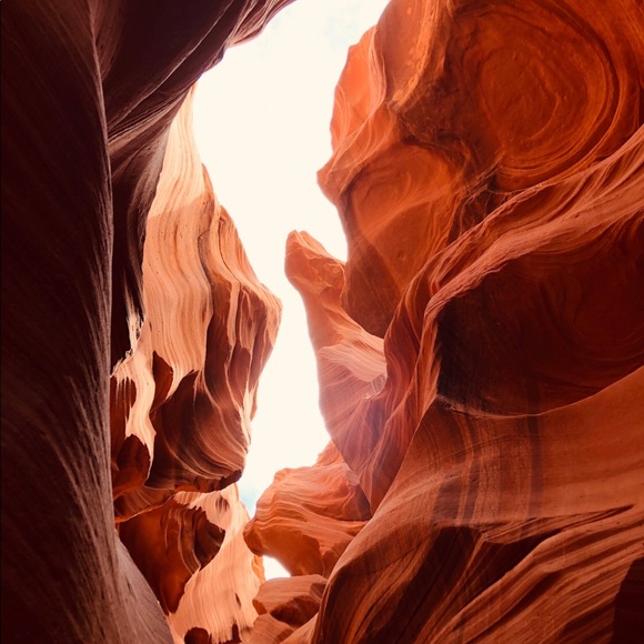 Meet your Posher, Astrid - Picture 1 of 1